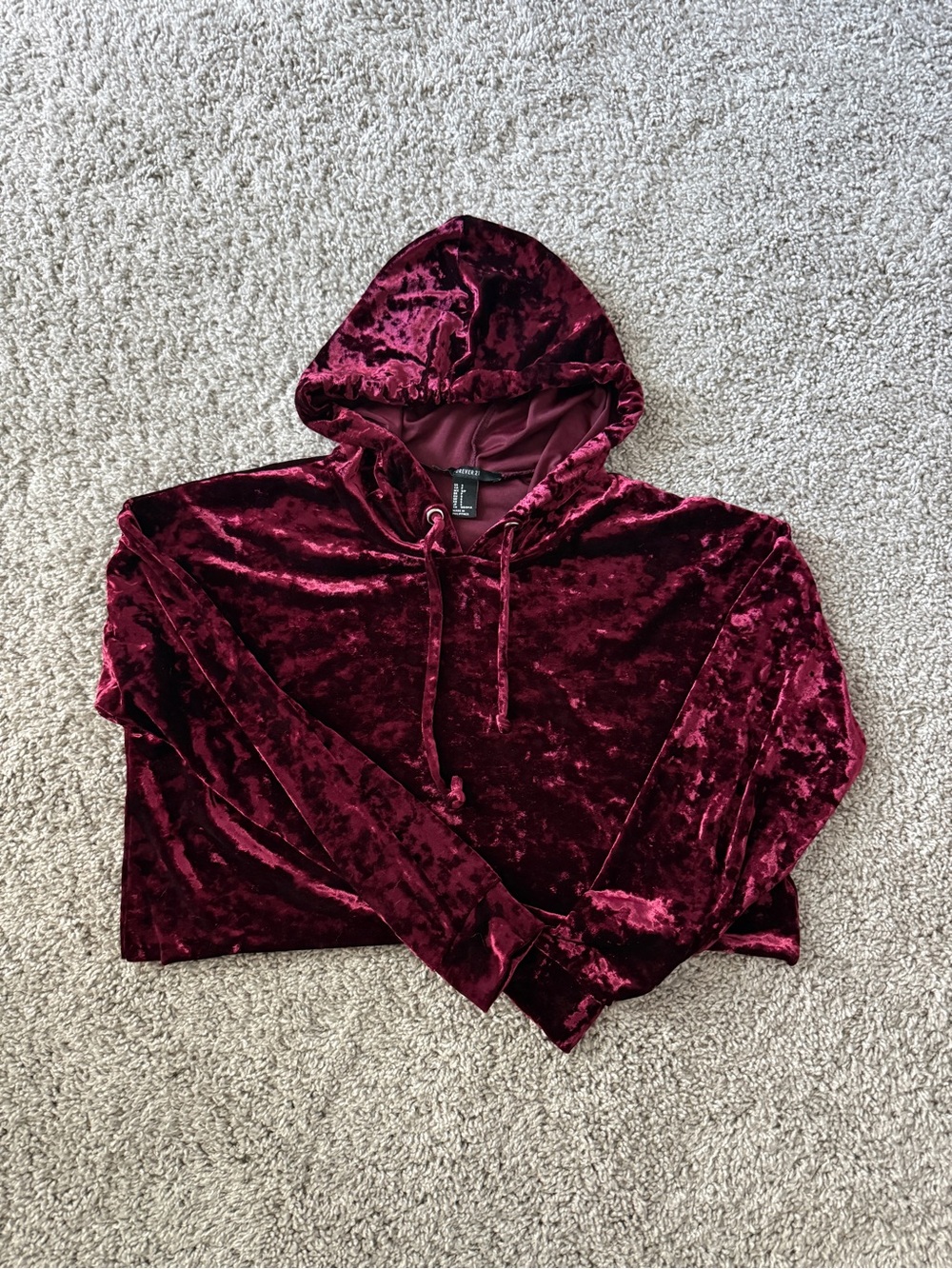 Forever 21 Plush Velour Hoodie in Wine Red